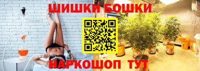 шишки Шелехов