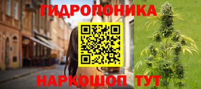 шишки Донской