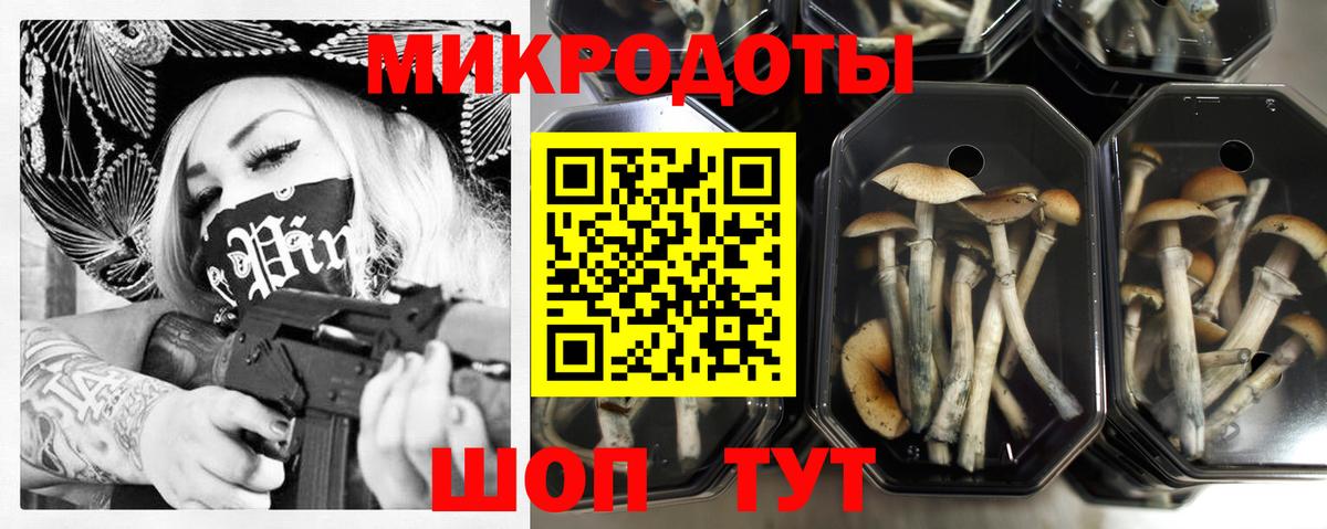 Галлюциногенные грибы Cubensis Кунгур